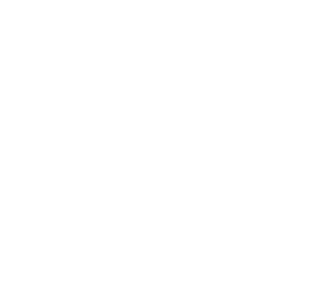 Suntory -196 logo